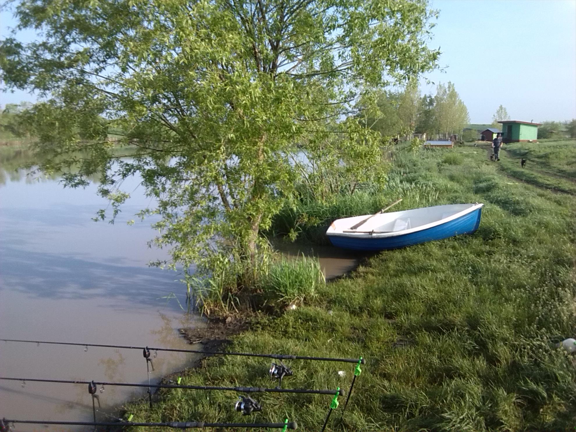 lilieci teleorman - img20140501081455.jpg